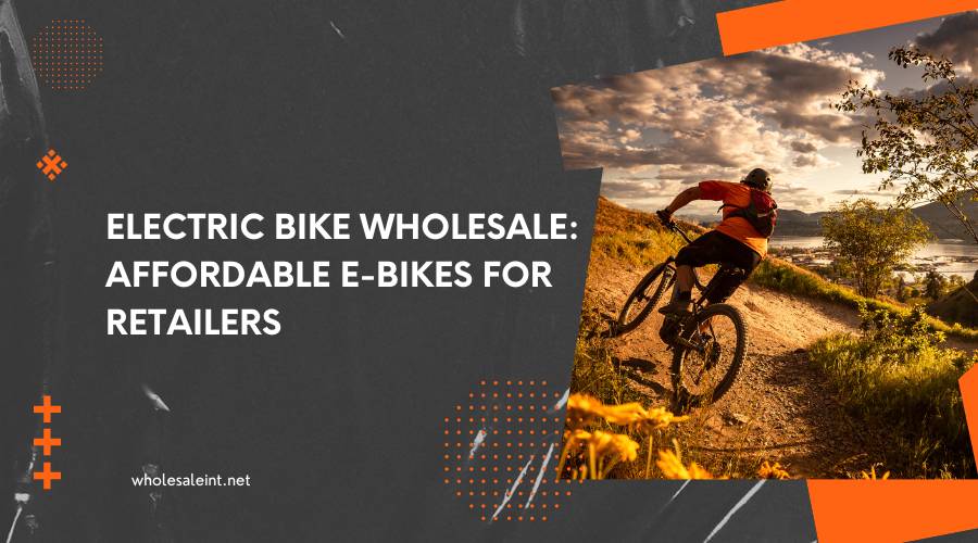 Electric Bike Wholesale Affordable E-Bikes for Retailers